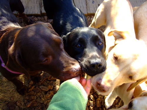 f0001698_16572987.jpg