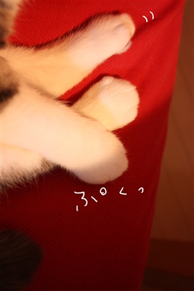 e0149299_20112482.jpg