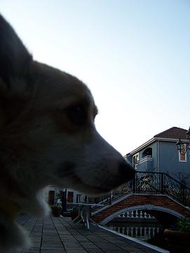 c0126703_1801829.jpg