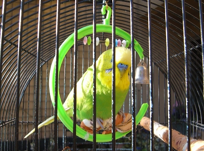 f0065604_2053664.jpg