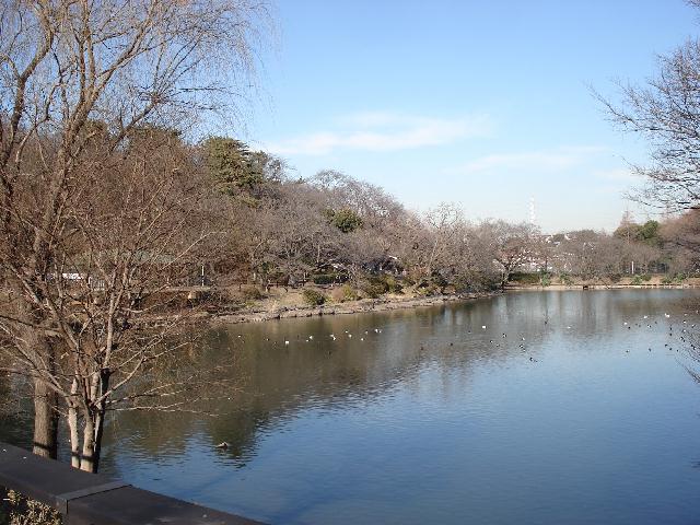 b0148106_1014524.jpg