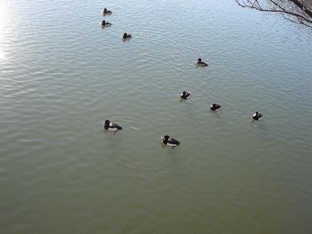 b0148106_1095663.jpg