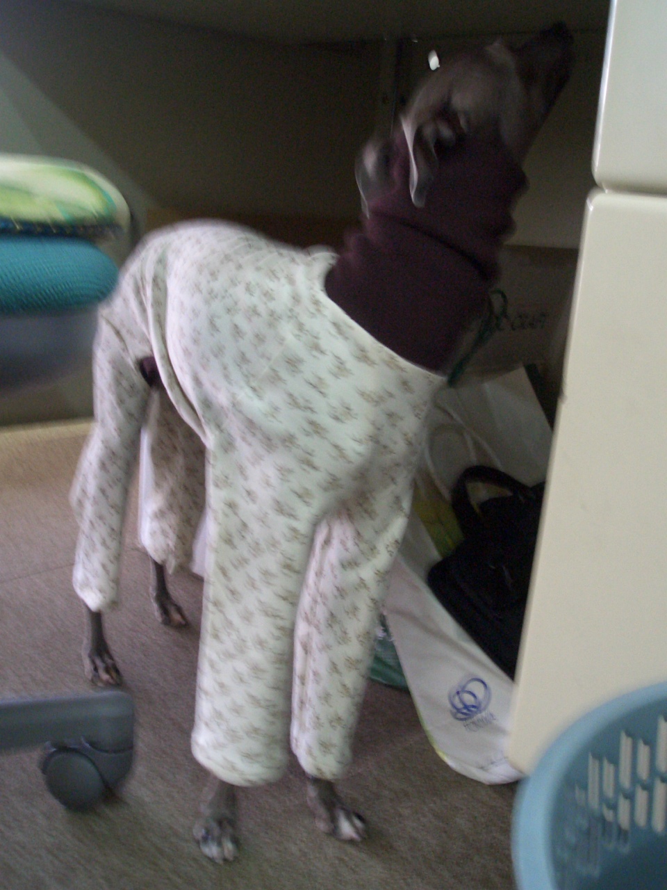 e0141909_0163459.jpg