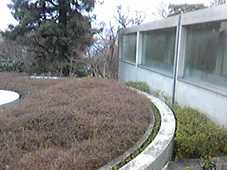 b0007213_18275244.jpg