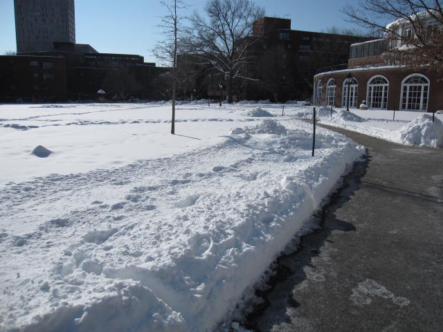 f0194826_1421817.jpg