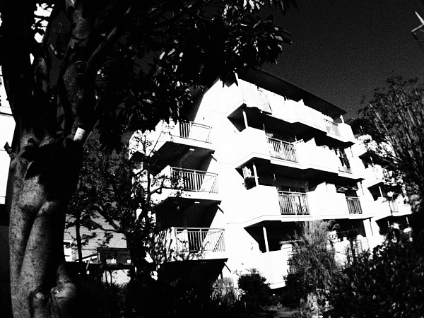 c0109827_13322442.jpg