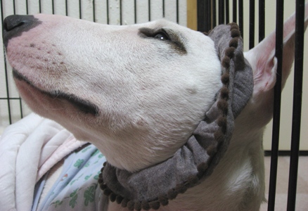 c0192330_716299.jpg