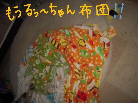 f0176830_2162683.jpg