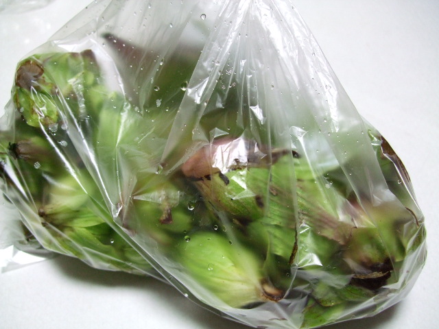 c0000134_1463322.jpg