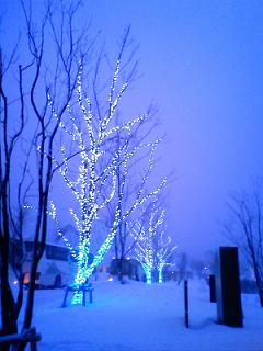 d0047944_21312651.jpg