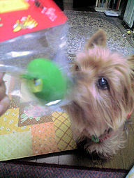 c0033145_0281499.jpg