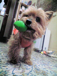 c0033145_033238.jpg