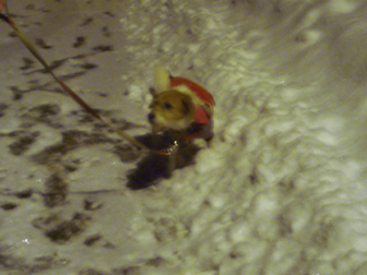 c0086746_19363378.jpg