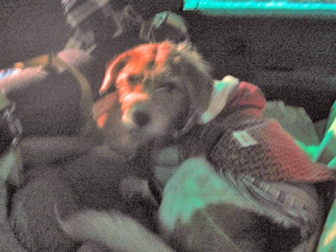 c0086746_1936731.jpg