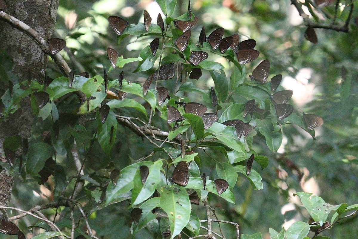 a0094850_20301686.jpg