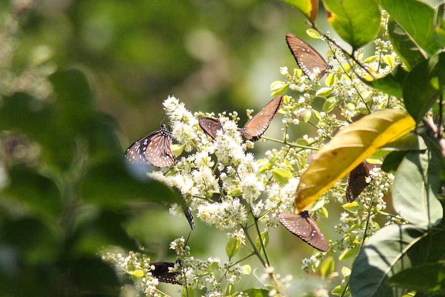 a0094850_2031916.jpg