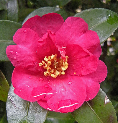 a0001354_11502977.jpg