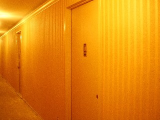 d0107660_17324543.jpg