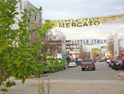 d0131460_6176.jpg