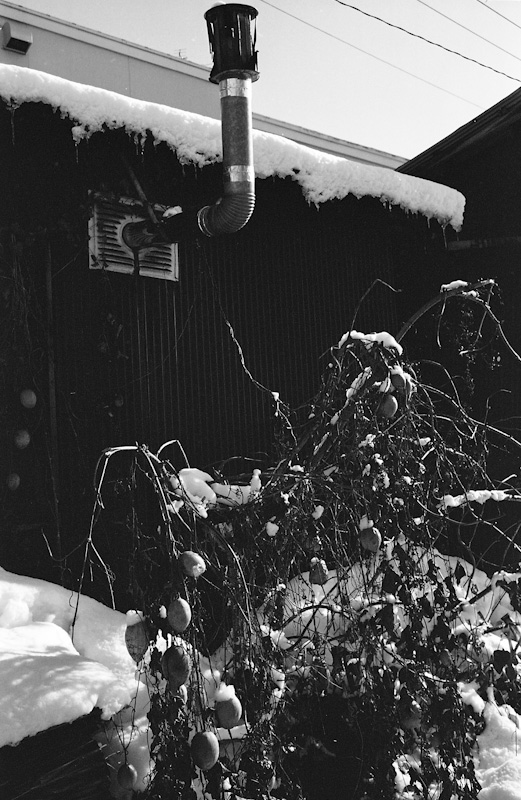 c0084666_145619.jpg