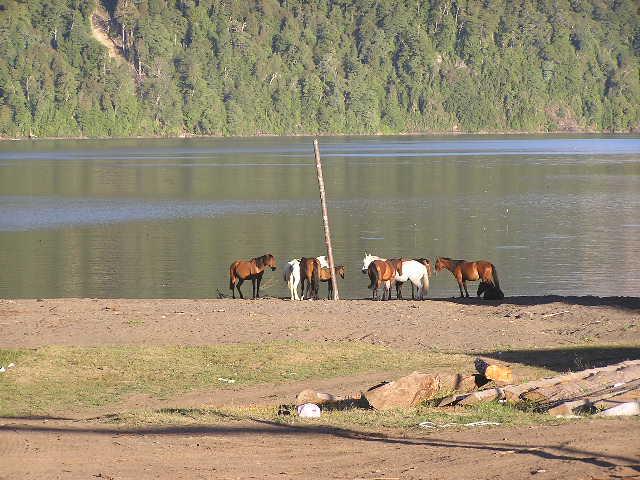 c0103368_2158212.jpg