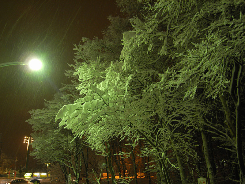 e0100772_2156104.jpg