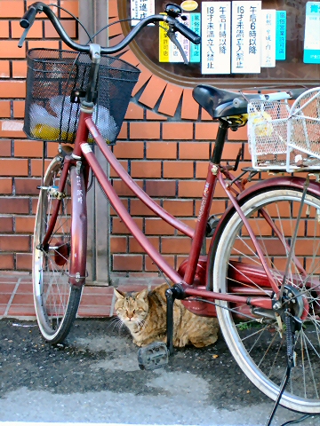 d0090874_042727.jpg