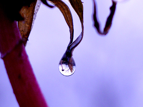 a0013879_21352270.jpg
