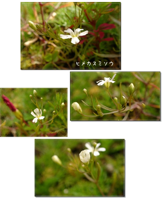 a0079880_19391775.jpg