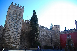 e0155786_518598.jpg