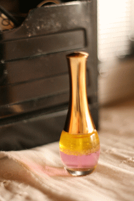 d0100192_2222544.gif
