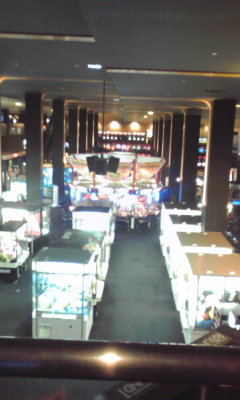 e0113496_0343373.jpg