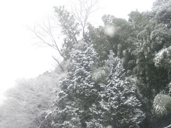 b0078597_20224684.jpg