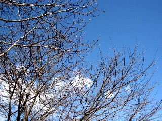a0040103_20302969.jpg