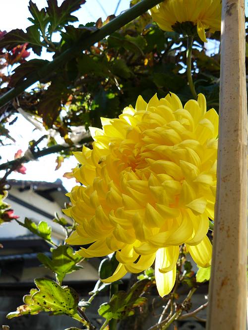 a0092804_022887.jpg