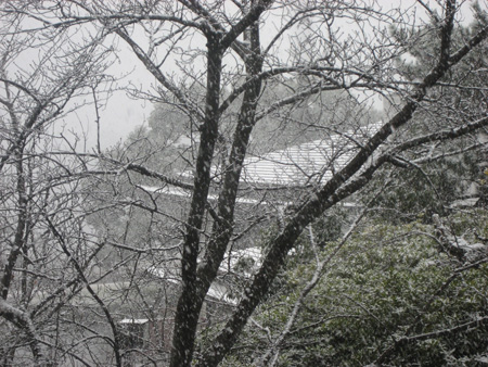 c0114110_17295696.jpg