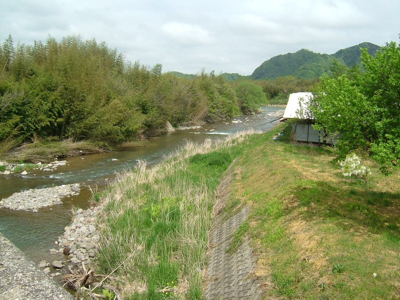 f0038221_942217.jpg