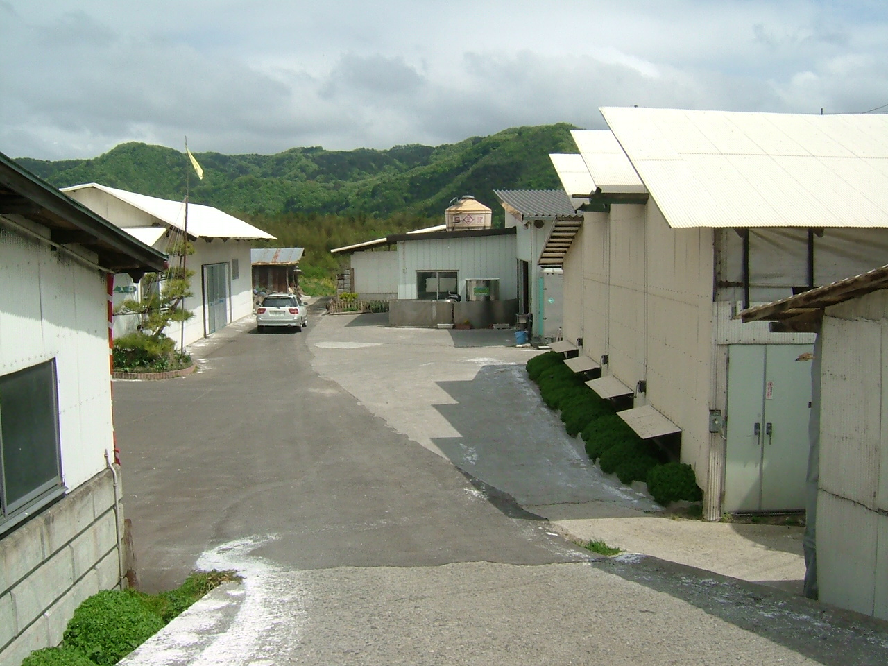 f0038221_9441449.jpg