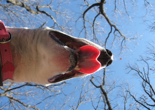 c0192330_1115085.jpg