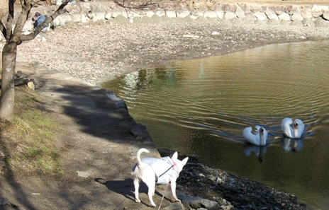 c0192330_113203.jpg
