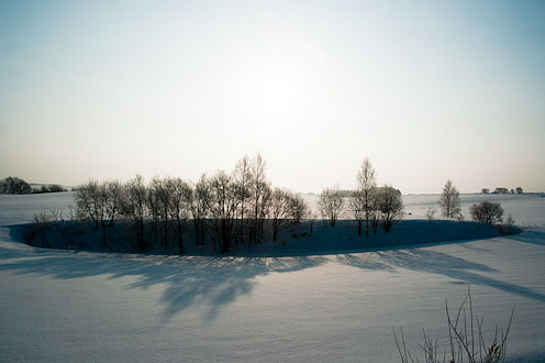 e0025030_18314941.jpg