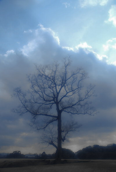 e0116532_14184869.jpg