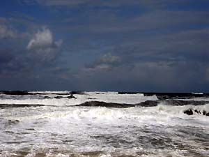 c0019338_20114023.jpg