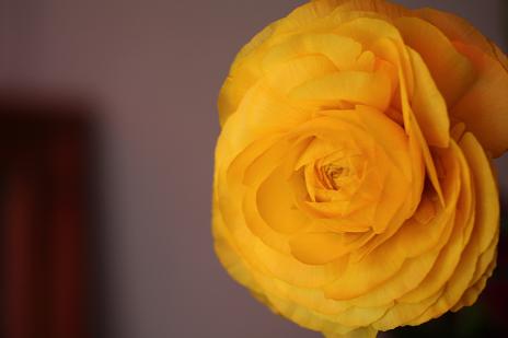 f0182239_11261870.jpg