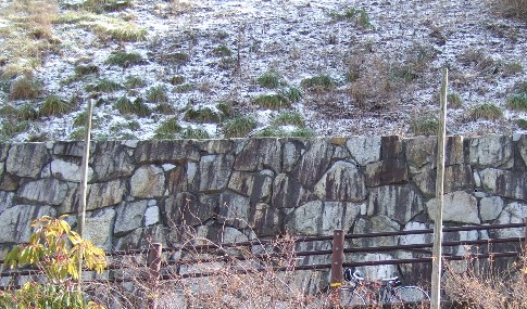 b0149340_20303935.jpg