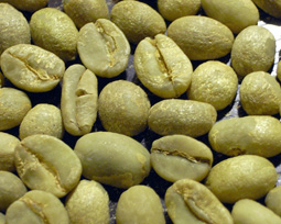 f0193643_21403488.jpg