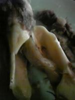 a0012545_2347220.jpg