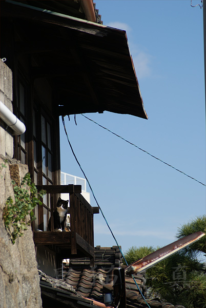 b0043651_2138468.jpg