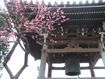 f0021558_634626.jpg