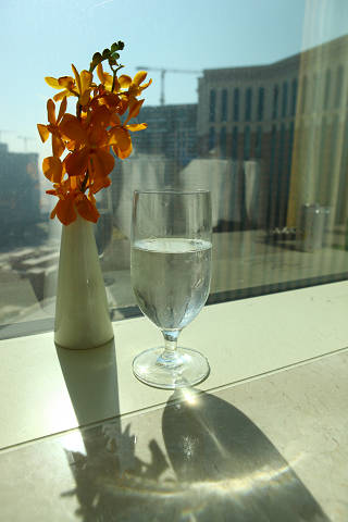 b0149365_4221368.jpg